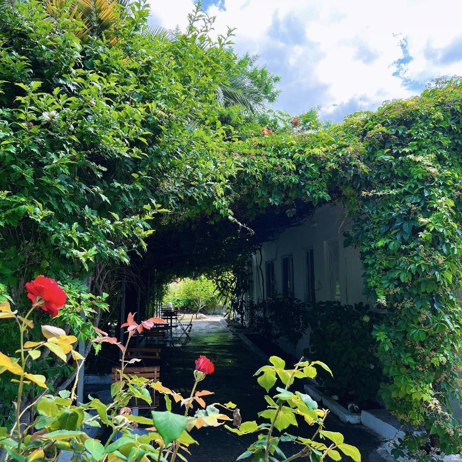 Garden Villa Naza Piqeras Экстерьер фото