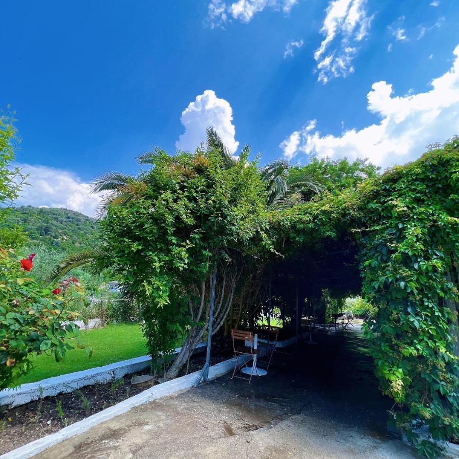 Garden Villa Naza Piqeras Экстерьер фото