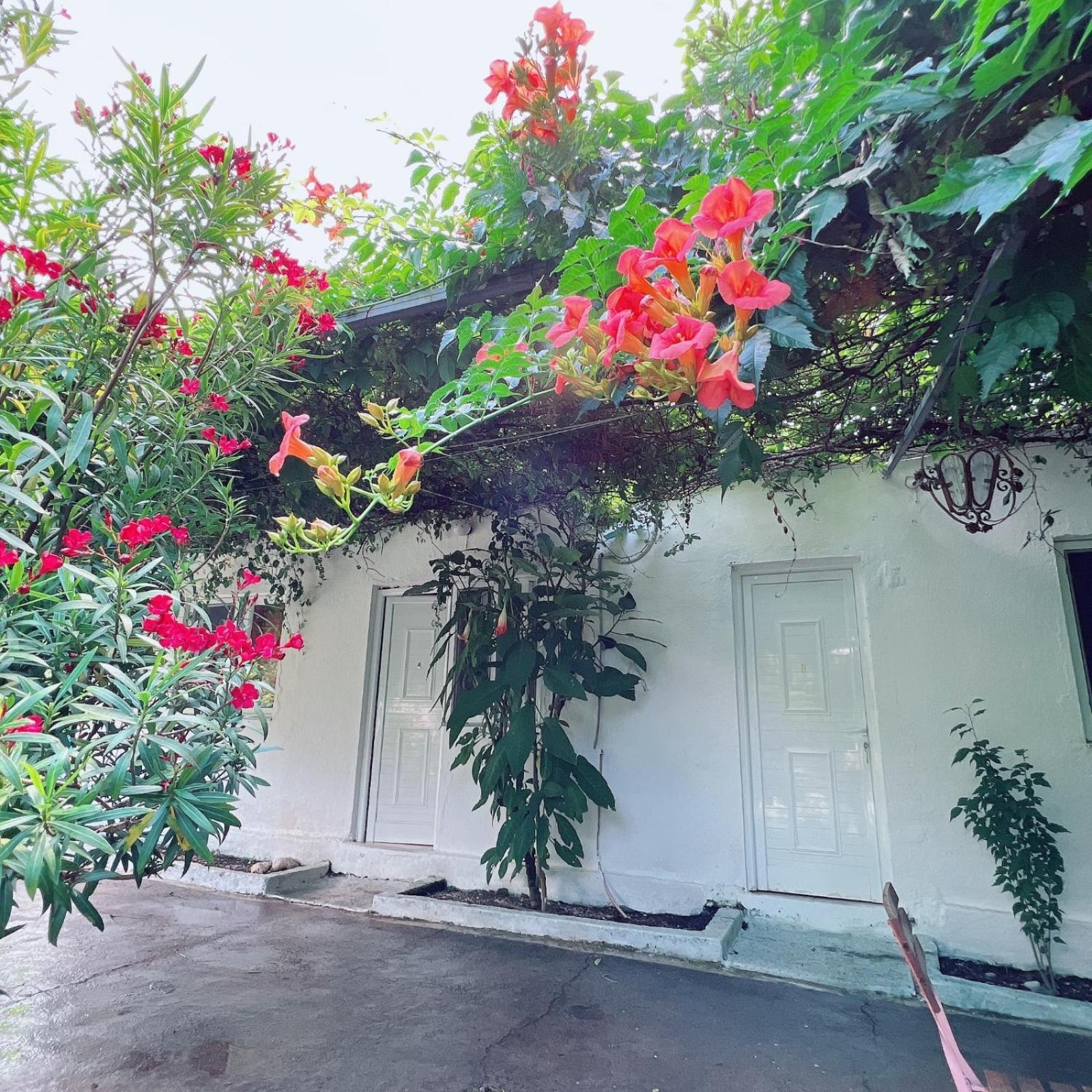Garden Villa Naza Piqeras Экстерьер фото